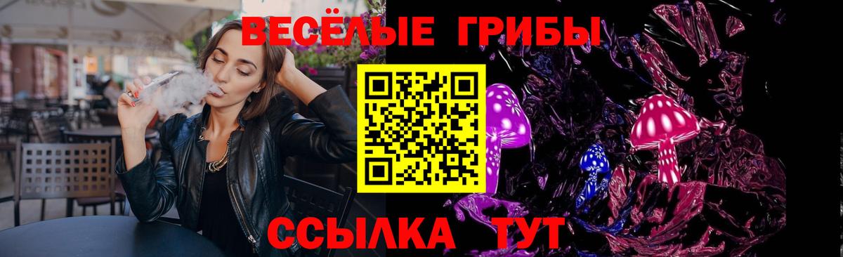 Амурск  Псилоцибиновые грибы GOLDEN TEACHER  Вход с VPN 